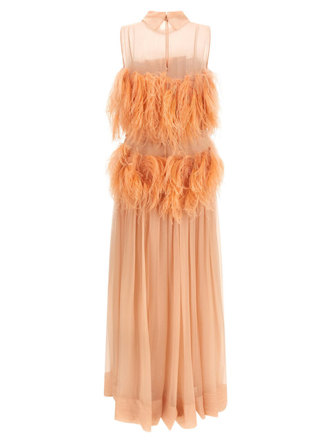 Alberta Ferretti Chiffon And Feather Dress