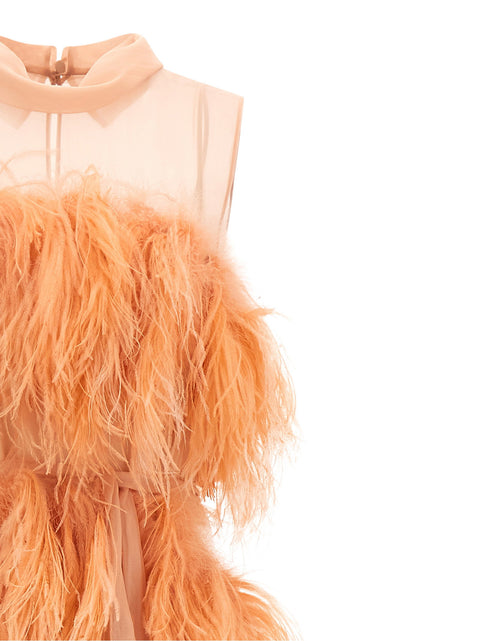 Alberta Ferretti Chiffon And Feather Dress