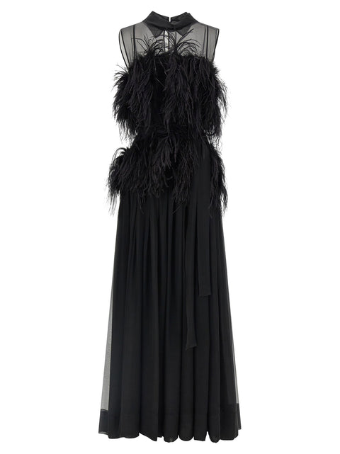 Alberta Ferretti Chiffon And Feather Dress