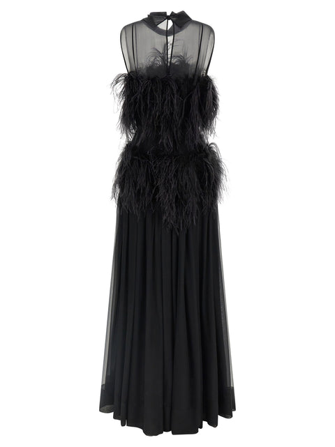 Alberta Ferretti Chiffon And Feather Dress