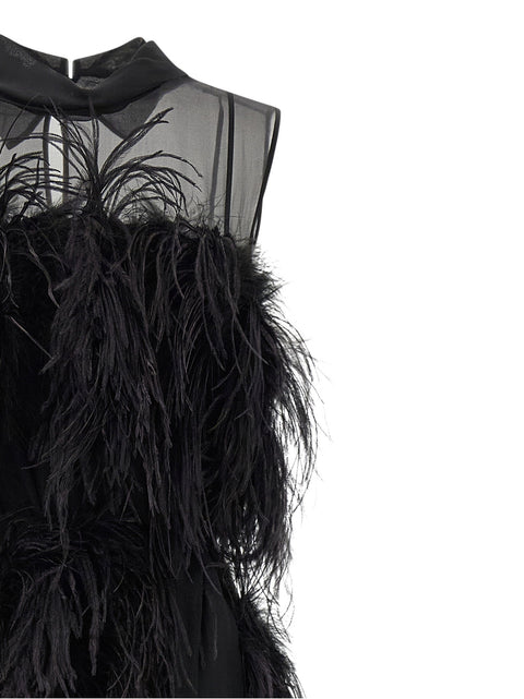 Alberta Ferretti Chiffon And Feather Dress
