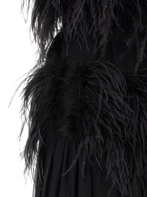 Alberta Ferretti Chiffon And Feather Dress