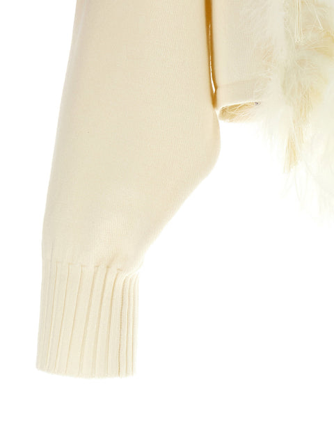 Alberta Ferretti Feather Cropped Sweater
