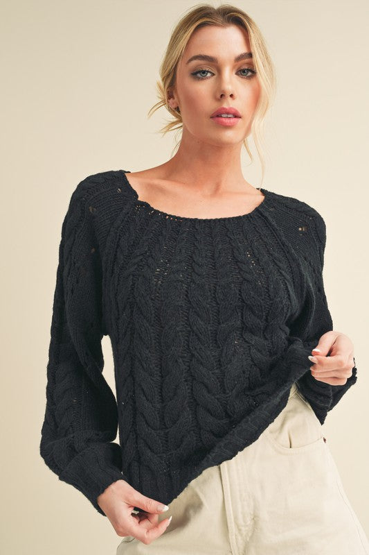 Aemi + Co Cable-Knit Openwork Round Neck Sweater-Street 360-Black-S-Urbanheer