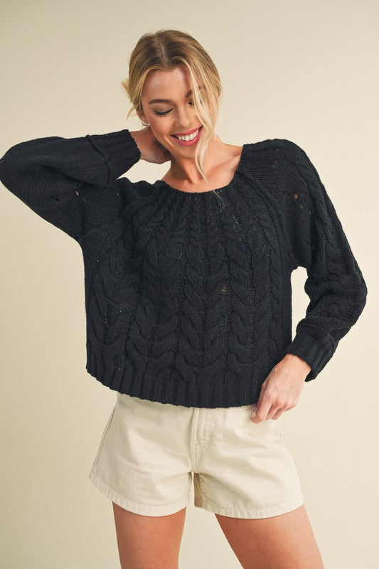 Aemi + Co Cable-Knit Openwork Round Neck Sweater-Street 360-Black-S-Urbanheer