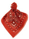 Alanui Bandana Paisley