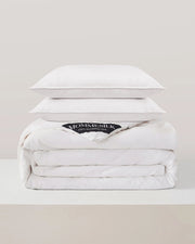 All Season Silk Comforter and Washable Silk Pillow Set-Set-MommeSilk-Twin-Standard-Urbanheer