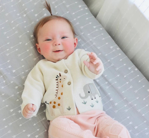 Animal Safari Embroidered Baby Cardigan Sweater (Organic)-Cardigan-Viverano Organics-0-3M-Natural-Urbanheer