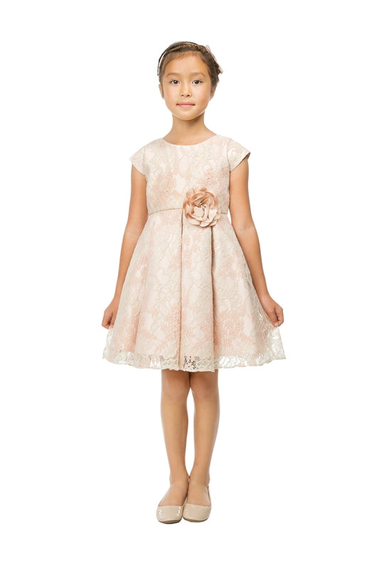 Blush & Sage Floral Vintage Lace with Flower Pin-Dress-Sweet Kids, Inc.-6M-Blush-Urbanheer