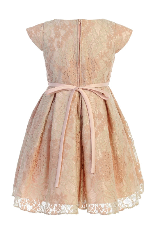 Blush & Sage Floral Vintage Lace with Flower Pin-Dress-Sweet Kids, Inc.-6M-Blush-Urbanheer