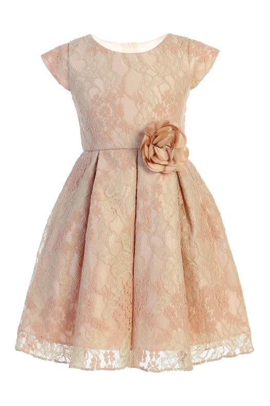 Blush & Sage Floral Vintage Lace with Flower Pin-Dress-Sweet Kids, Inc.-6M-Blush-Urbanheer