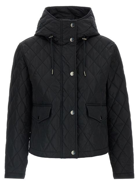 Burberry Pembroke Jacket