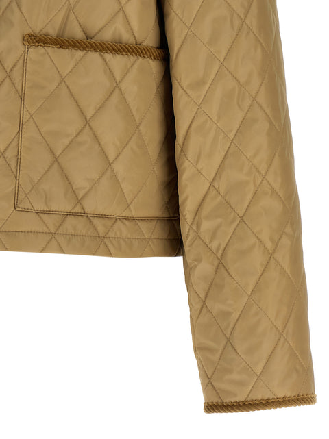 Burberry Tal Jacket