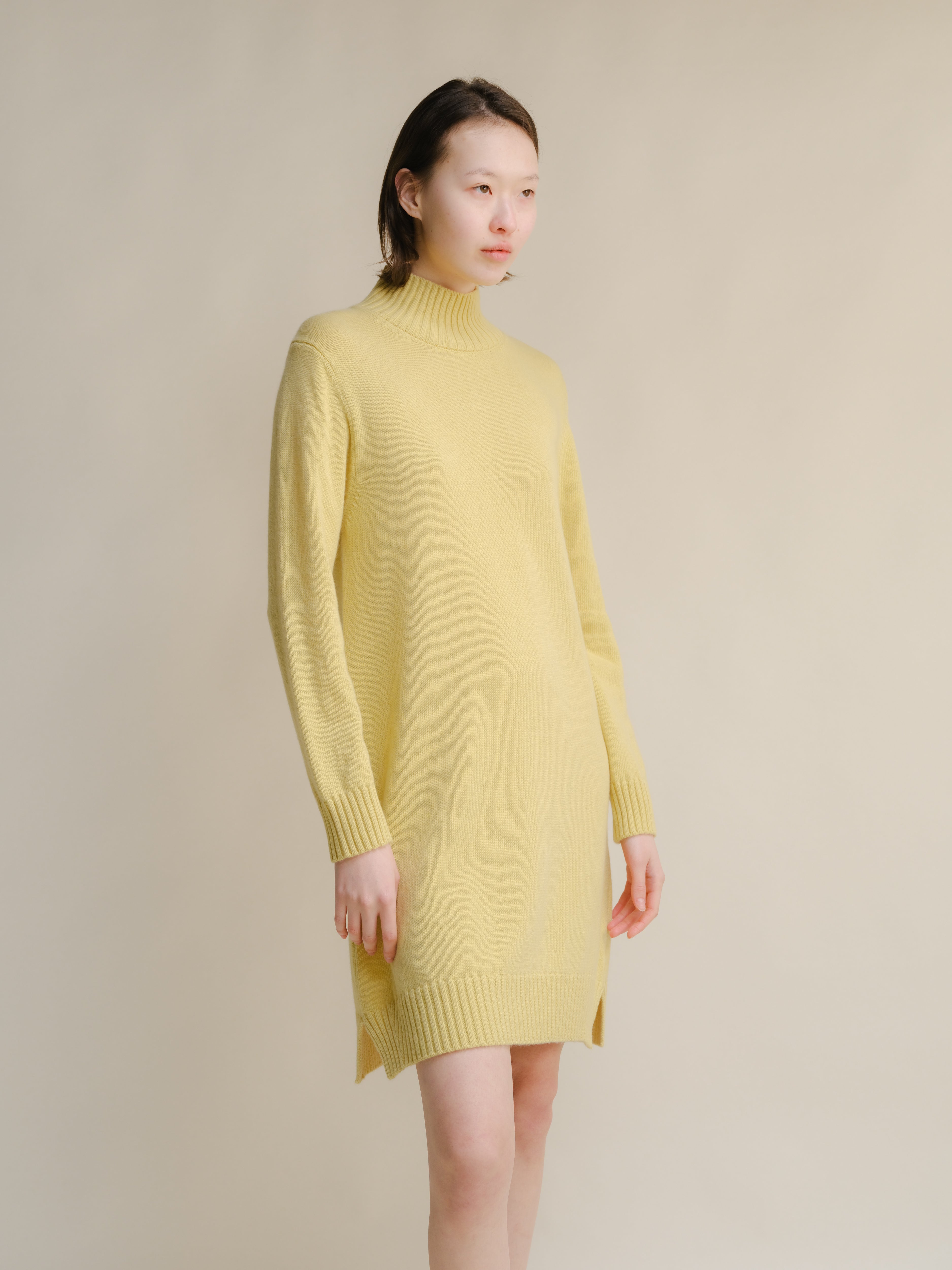 Cashmere Mix High Neck Midi Dress