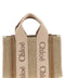 Chloé Woody Mini Handbag