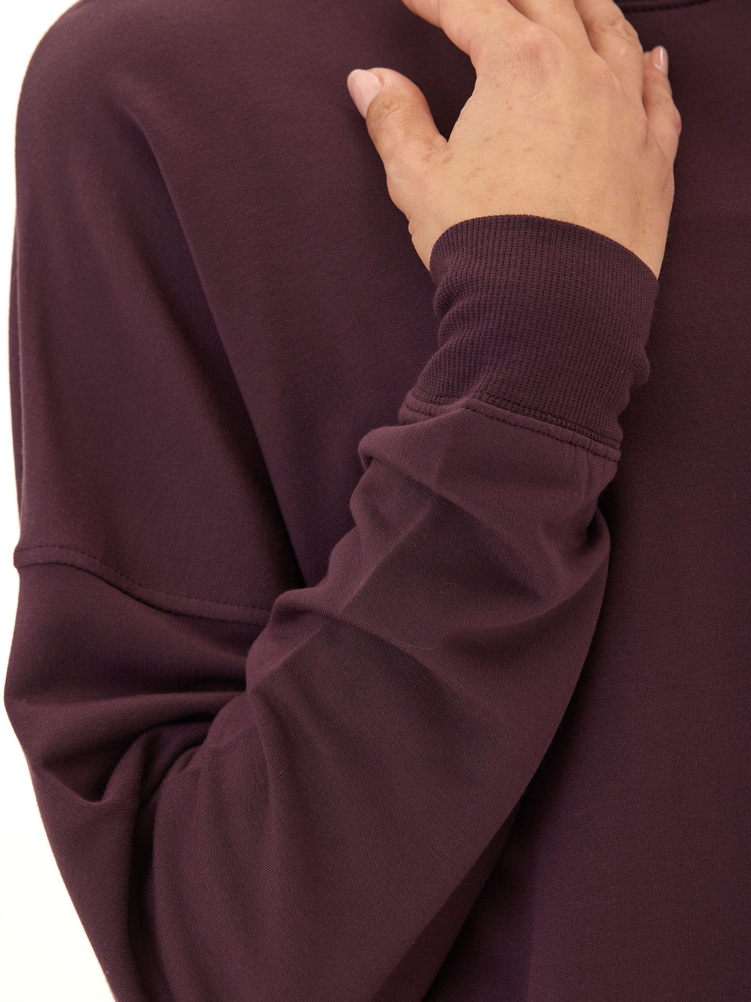 Cathy Boyfriend Feather Fleece Pullover