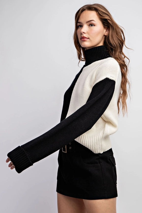 Color Block Turtle Neck Sweater Top-Top-Edit by Nine-S-Black Ivory-Urbanheer