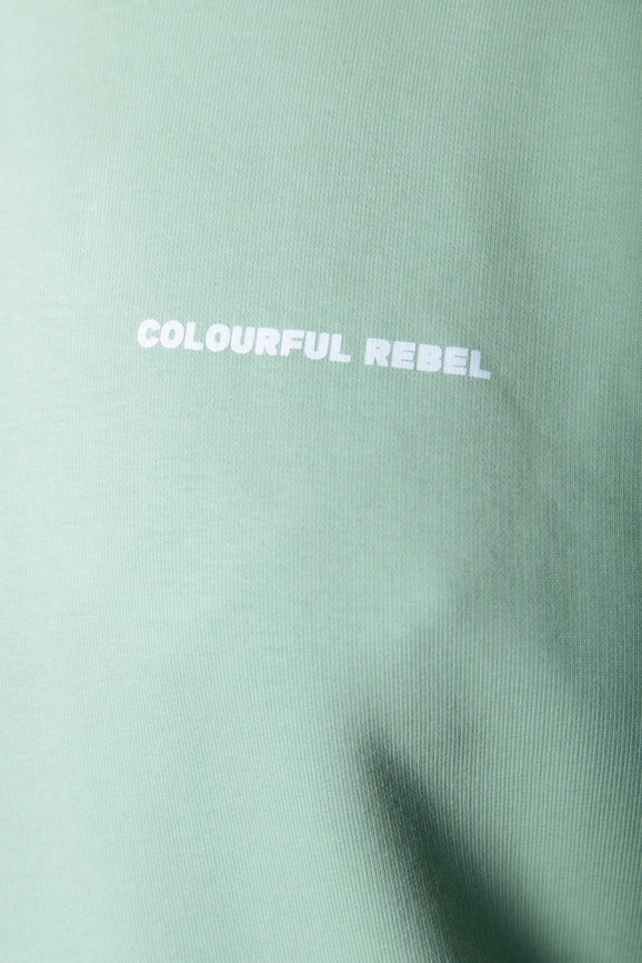 Cr Back Logo Hoodie | Soft Green-Hoodie-Colourful Rebel-XXS-Soft Green-Urbanheer