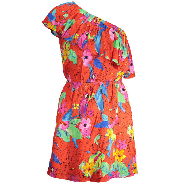 Desigual Dress