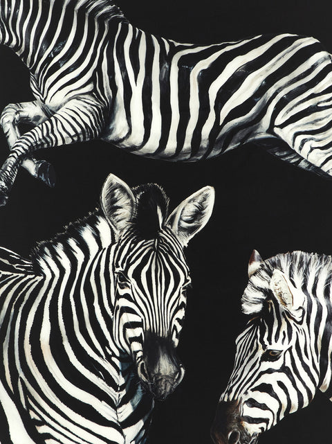 Dolce & Gabbana Zebra Print Scarf