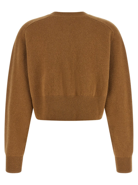 Elisabetta Franchi Cardigan Tricot
