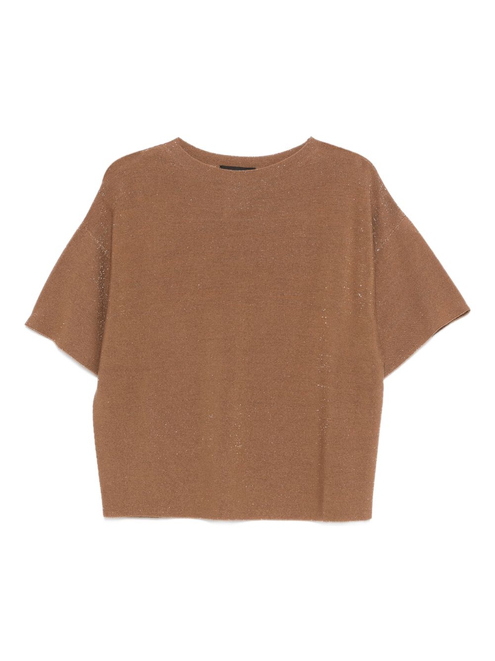 Fabiana Filippi Sweaters Brown