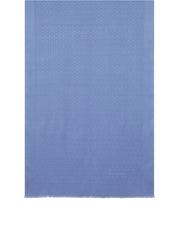 Ferragamo Scarfs Clear Blue