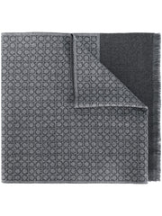 Ferragamo Scarfs Grey