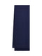 Ferragamo Scarfs NAVY