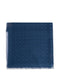Ferragamo Scarfs NAVY