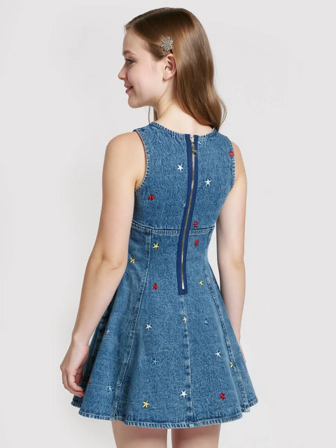 Fit and Flare Embroidery Star Dress
