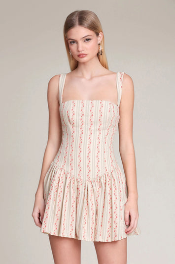 Floral Stripe Cotton Drop-Waist Mini Dress