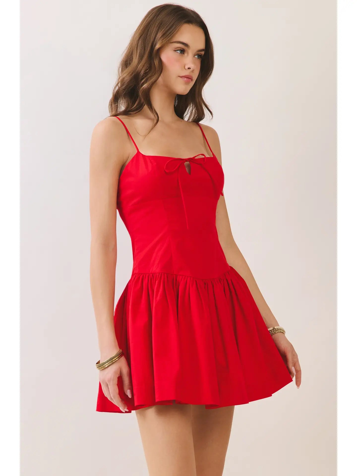 Front Bow Detail Fit and Flare Mini Dress