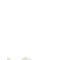 Golden Goose stardan sne - White-shoes-Golden Goose-40-Urbanheer