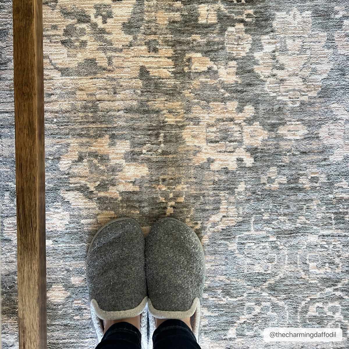 Guiwanon Area Rug - Clearance-Rugs-Boutique Rugs-3'3" x 5' Rectangle-Urbanheer