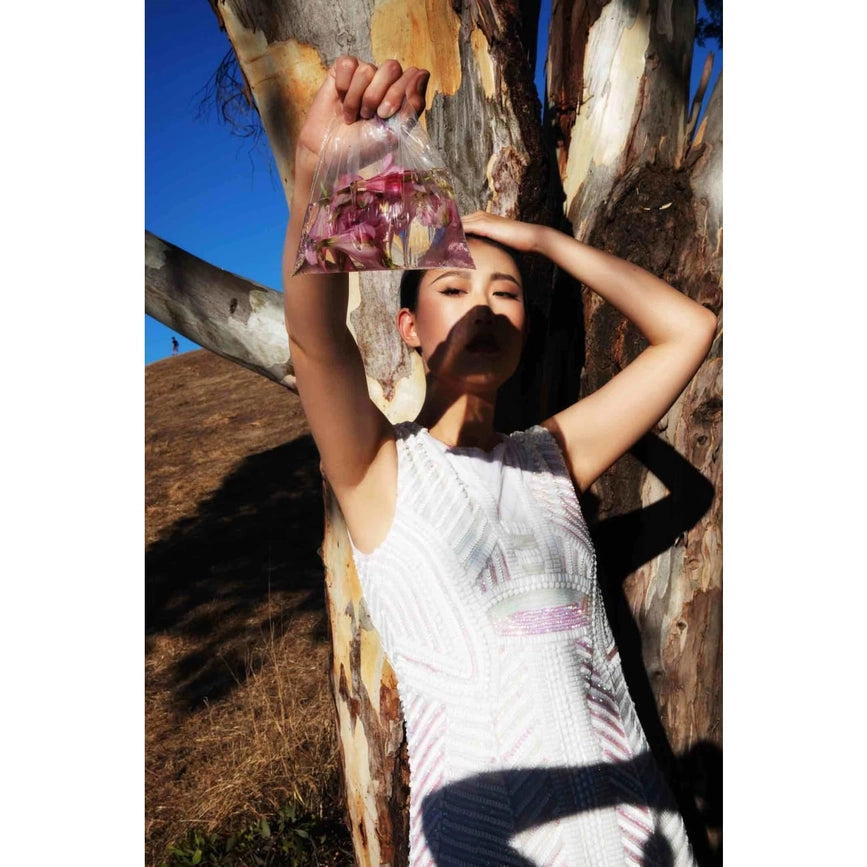 Jasmina Hand Embroidered Dress-Dress-Sandhya Garg-S-Urbanheer