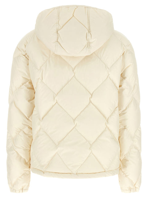 Moncler Arvouinne Down Jacket