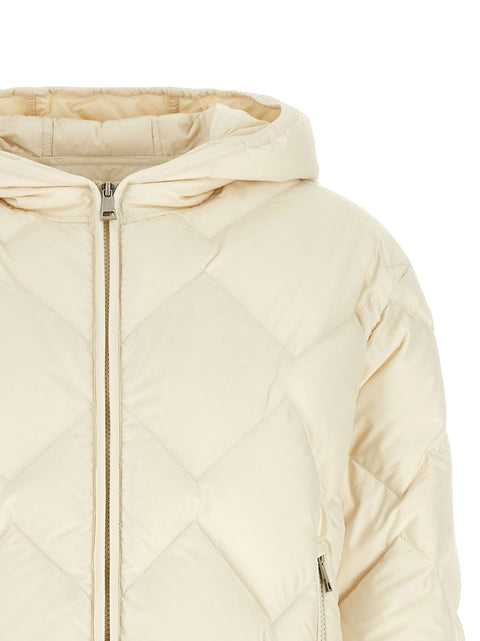 Moncler Arvouinne Down Jacket