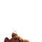 Lanvin curb sneakers-men > shoes > sneakers-Lanvin-40-Black-Urbanheer