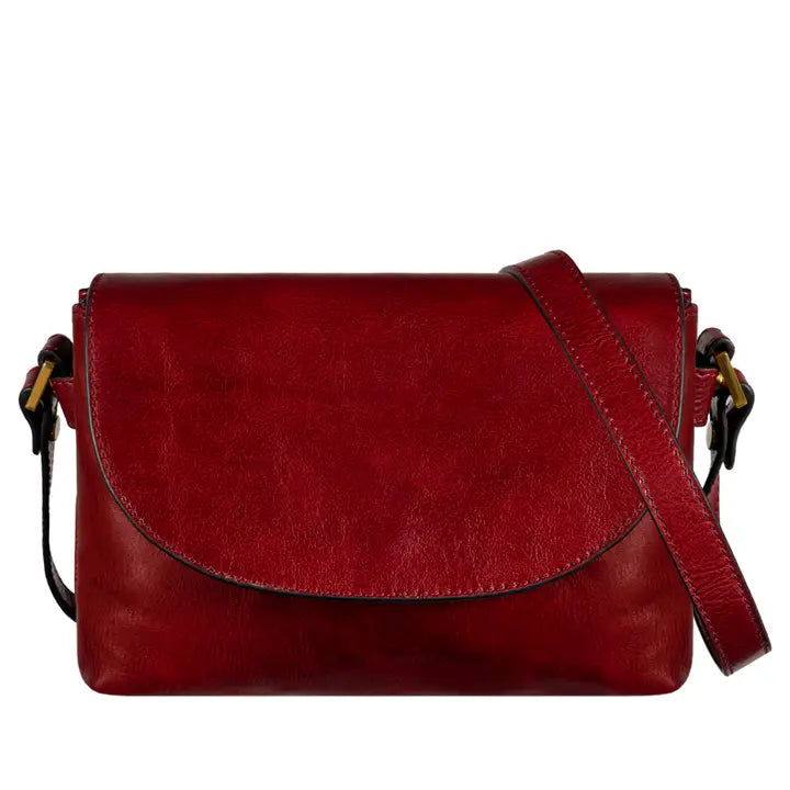 Leather Cross Body Bag, Messenger Bag - Sophie's Choice-Cross Body Bag-Time Resistance-Red-Urbanheer