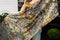 Love Grows Wild Floral Bamboo Scarf with Bees-Scarf-Market of Stars-68cm x 155cm-Urbanheer