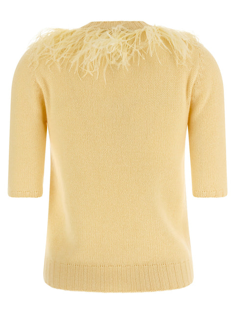Fabiana Filippi Feather Sweater
