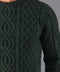 Mens Jarvis 100% British Wool Aran Cable Sweater-Sweater-Paul James Knitwear-S-Green-Urbanheer