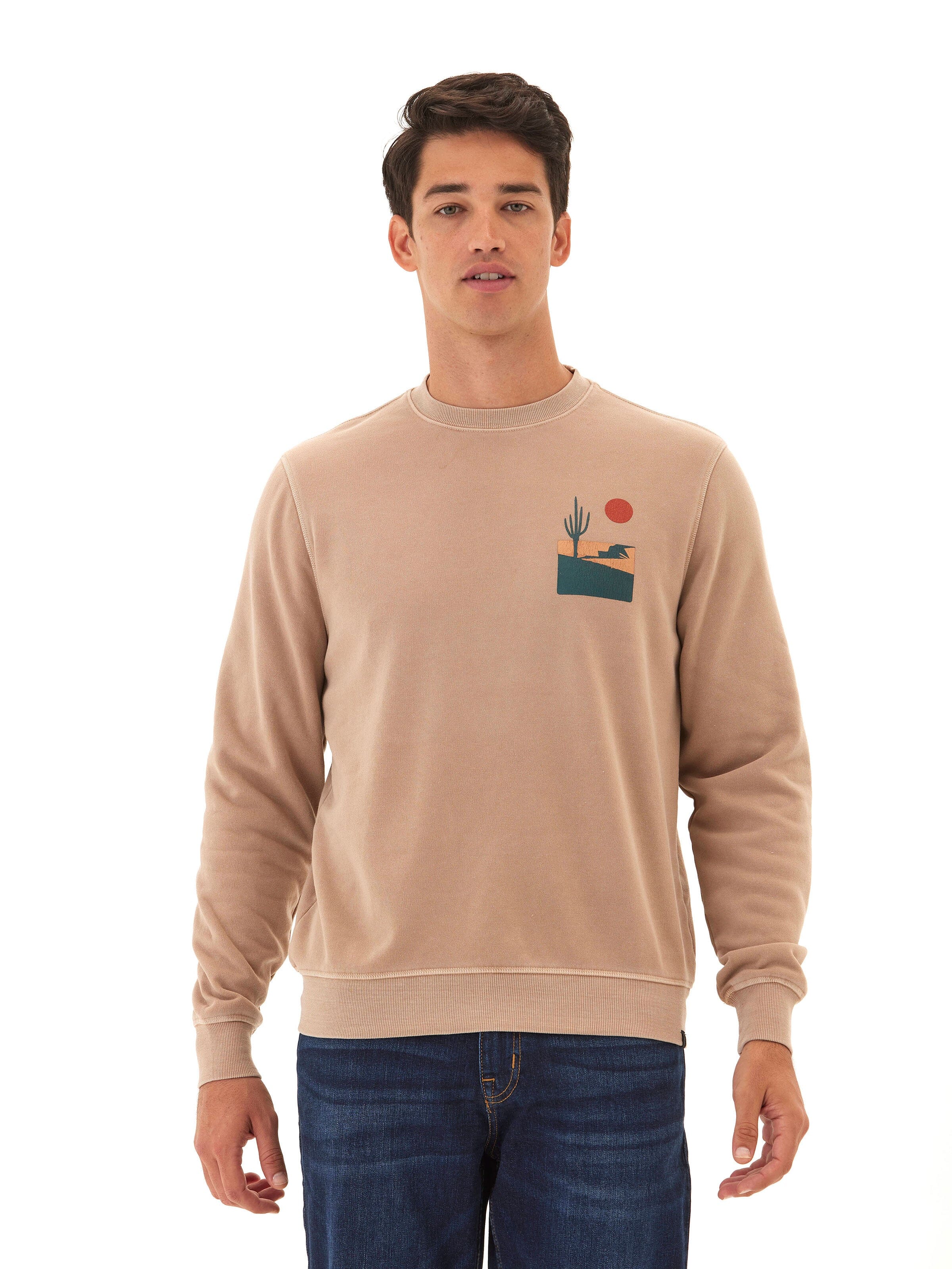 Mineral Wash Graphic Fleece Crew