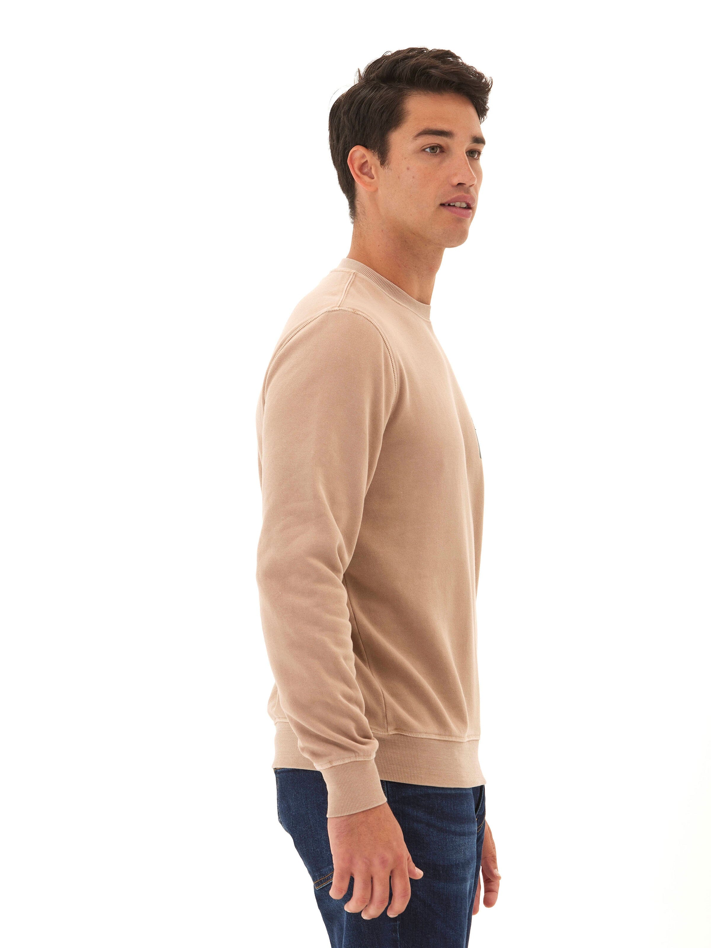 Mineral Wash Graphic Fleece Crew