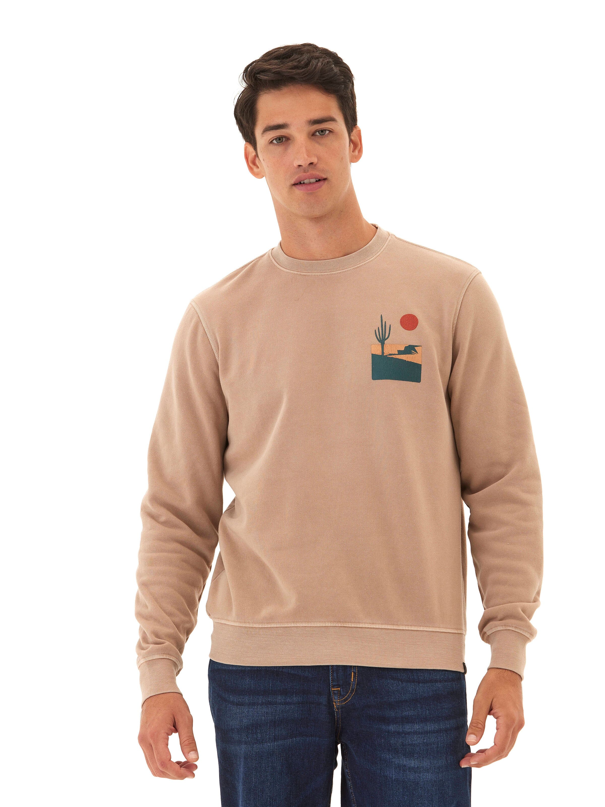 Mineral Wash Graphic Fleece Crew