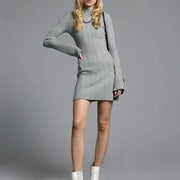 Mock Neck Ribbed Dress - Mirren Dress