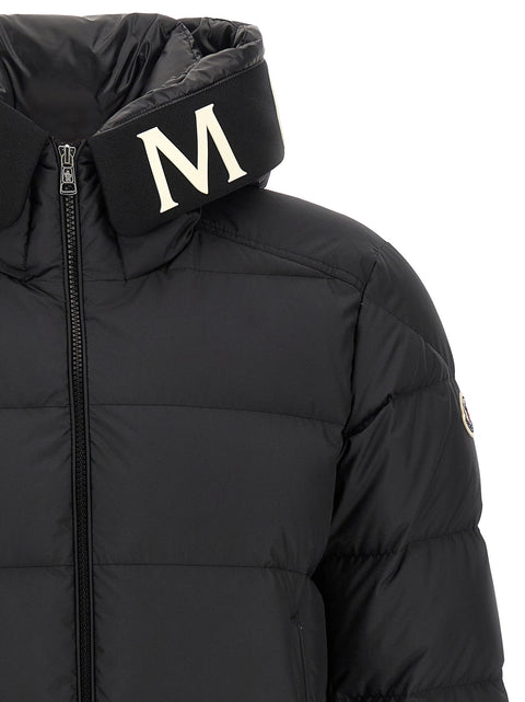 Moncler Orvelle Down Jacket