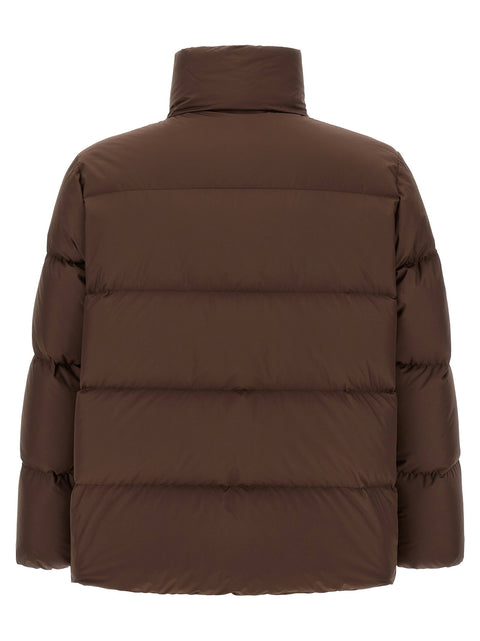 Moncler Vivantesse Down Jacket