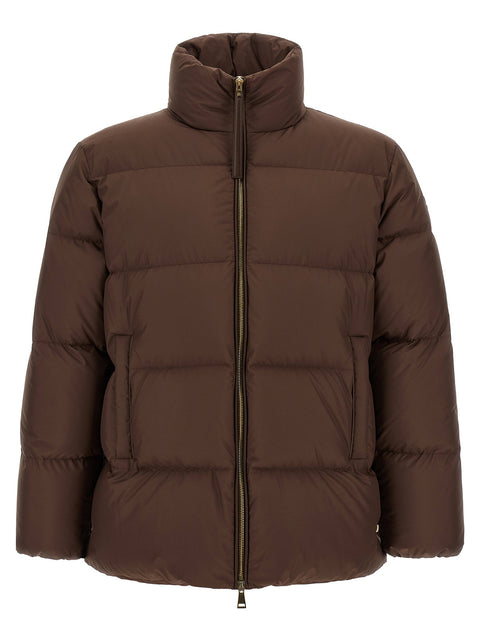 Moncler Vivantesse Down Jacket